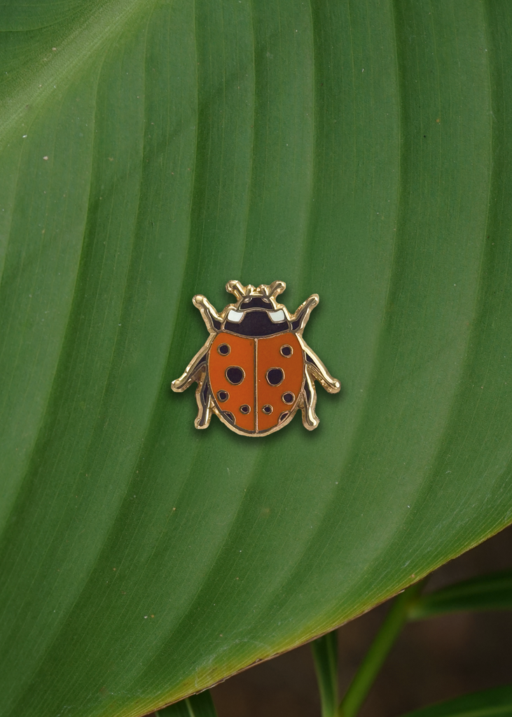 Ladybug pin on a green leaf
