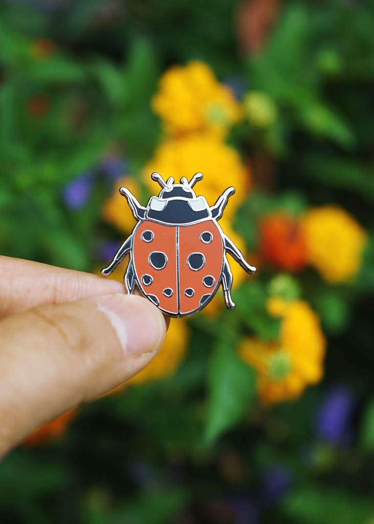 Tomato red ladybug pin held in front of flowers