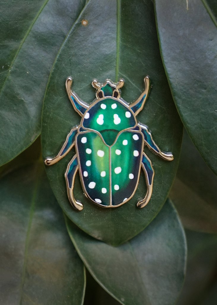 Green spotted rose chafer beetle pin on leaf
