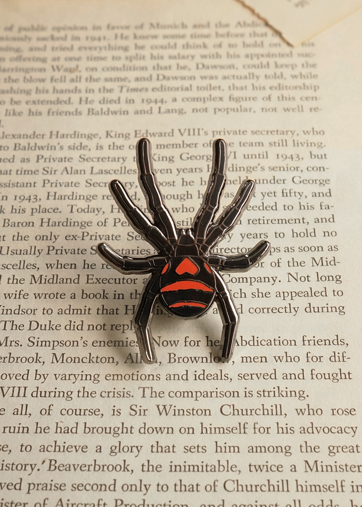 South American black widow pin on torn book pages