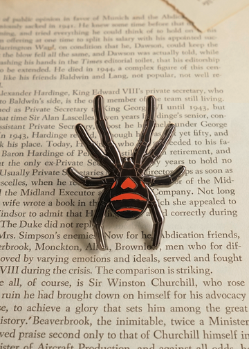 South American black widow pin on torn book pages
