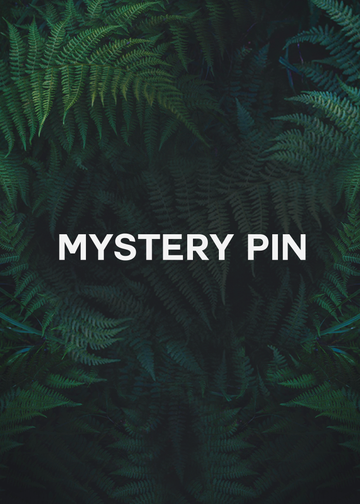 Mystery Pin