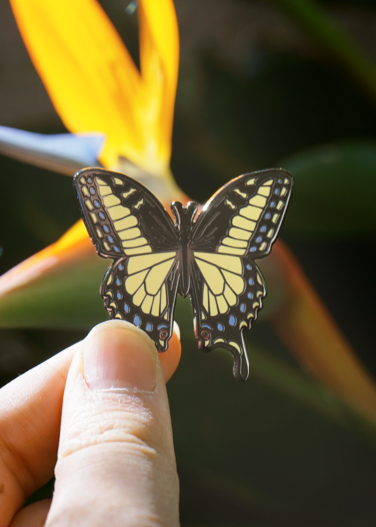 Yellow Anise Swallowtail pin in natural lighting