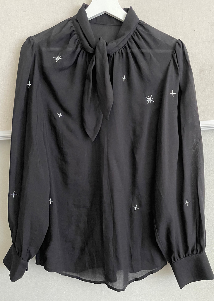 Parisa shirt front. sheer blouse with stars embroidered